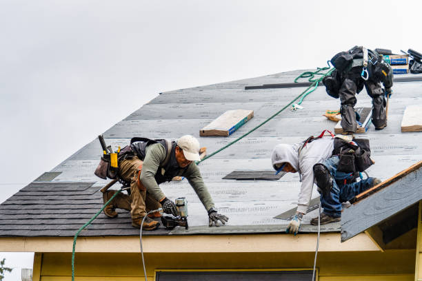 Professional Roof Repair technician working in North Rose, NY